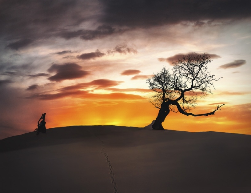 Panorama Allgäu Alpen Berge Hinterstein Winter Schnee verschneit Oberallgäu orange rot schwarz