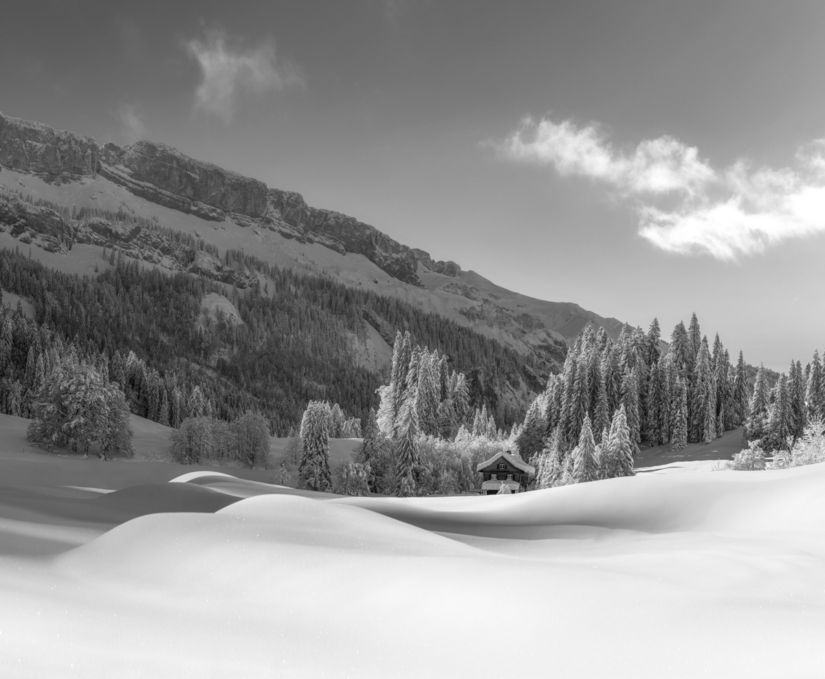 Schwarz Weiß Lieblingsmotive - 5133 - 825ac6e4 1 leinwand schwarz weiß wandbilder foto kaufen Allgäu Alpen Berge Winter Schnee verschneit Oberstdorf Rohrmoos Tiefenbach Baum Bäume Oberallgäuer himmel sonne