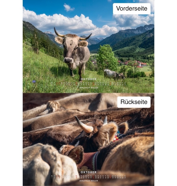 Kuhkalender 2026 Monate10