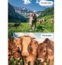 Kuhkalender 2026 Monate2