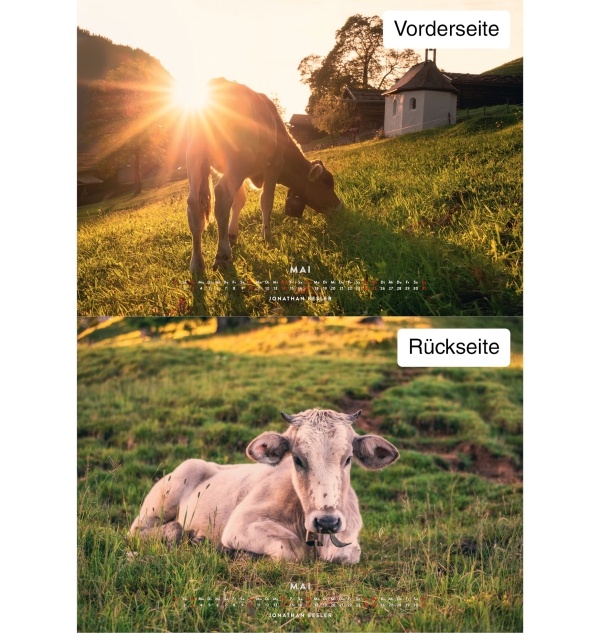 Kuhkalender 2026 Monate5