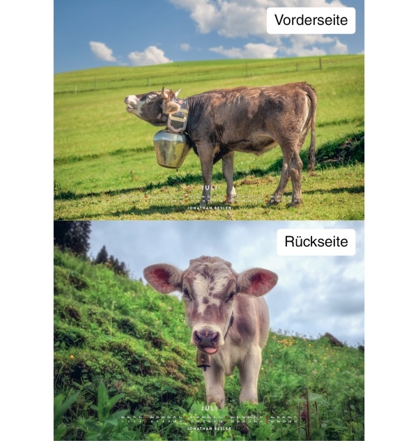 Kuhkalender 2026 Monate7