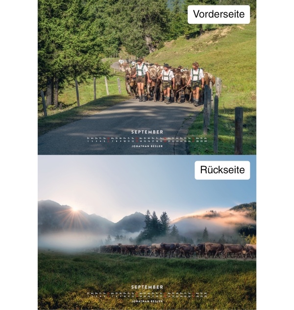 Kuhkalender 2026 Monate9