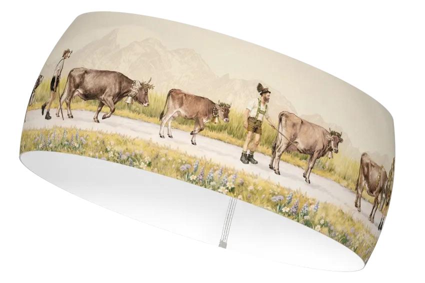 STIRNBAND Schaid Farbe