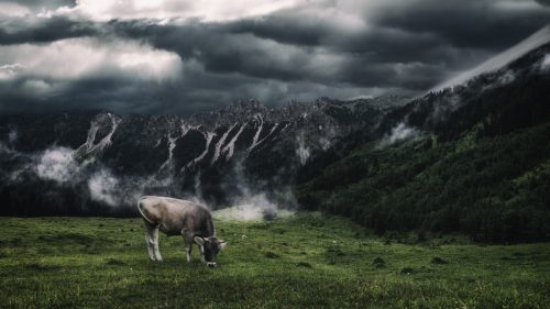 kostenlose-4k-wallpaper-f-r-deinen-desktop-smartphone