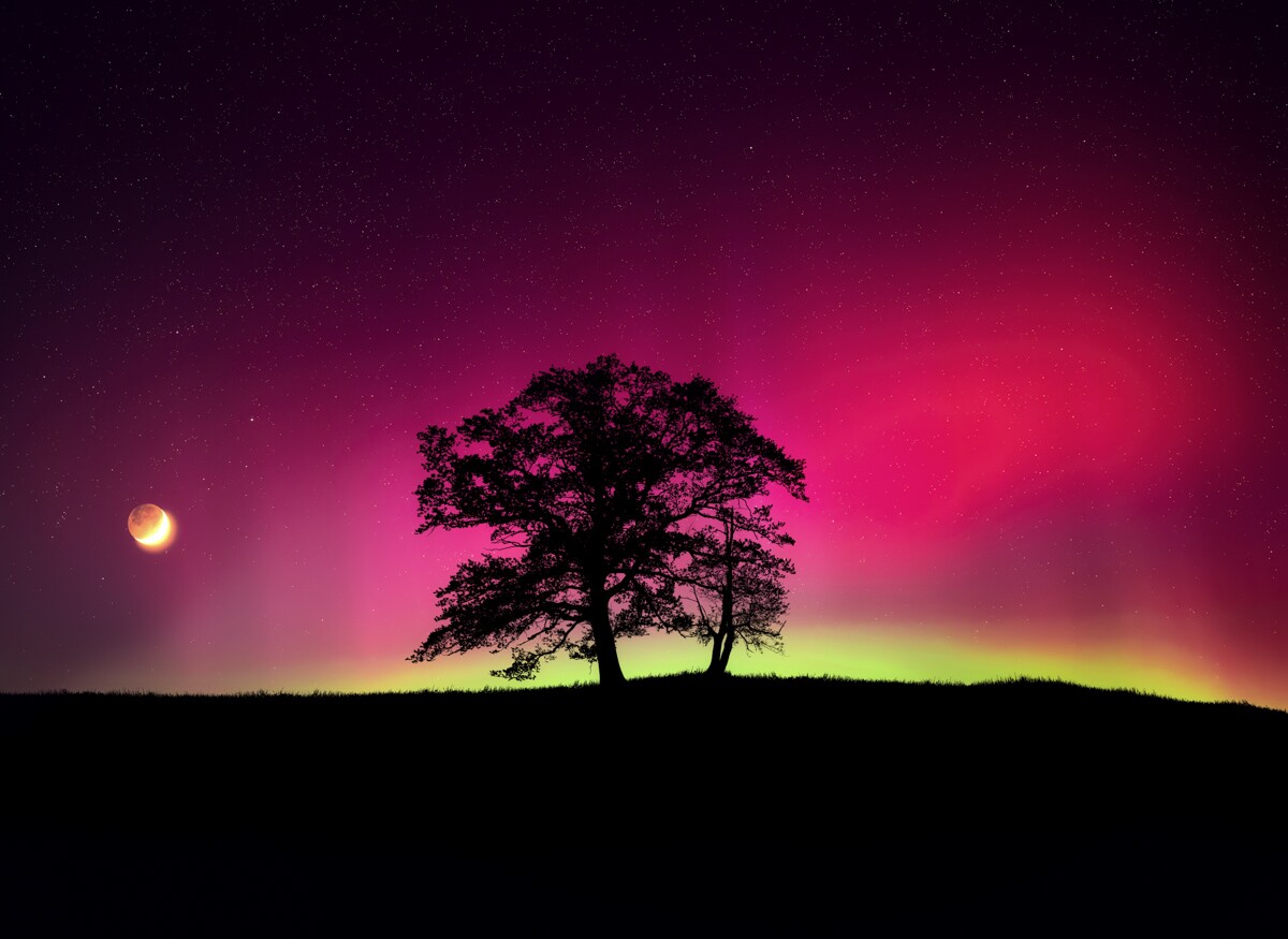 Allgäu Polarlichter Nordlichter Aurora Borealis Bayern Deutschland Sterne Nacht schwarz rot grün baum reichenbach monduntergang sichel